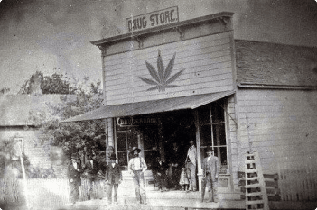 Nevada cannabis history