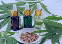 Nevada Active Medical Marijuana Patients in 2025.png